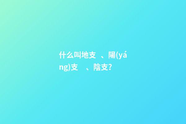 什么叫地支、陽(yáng)支、陰支？